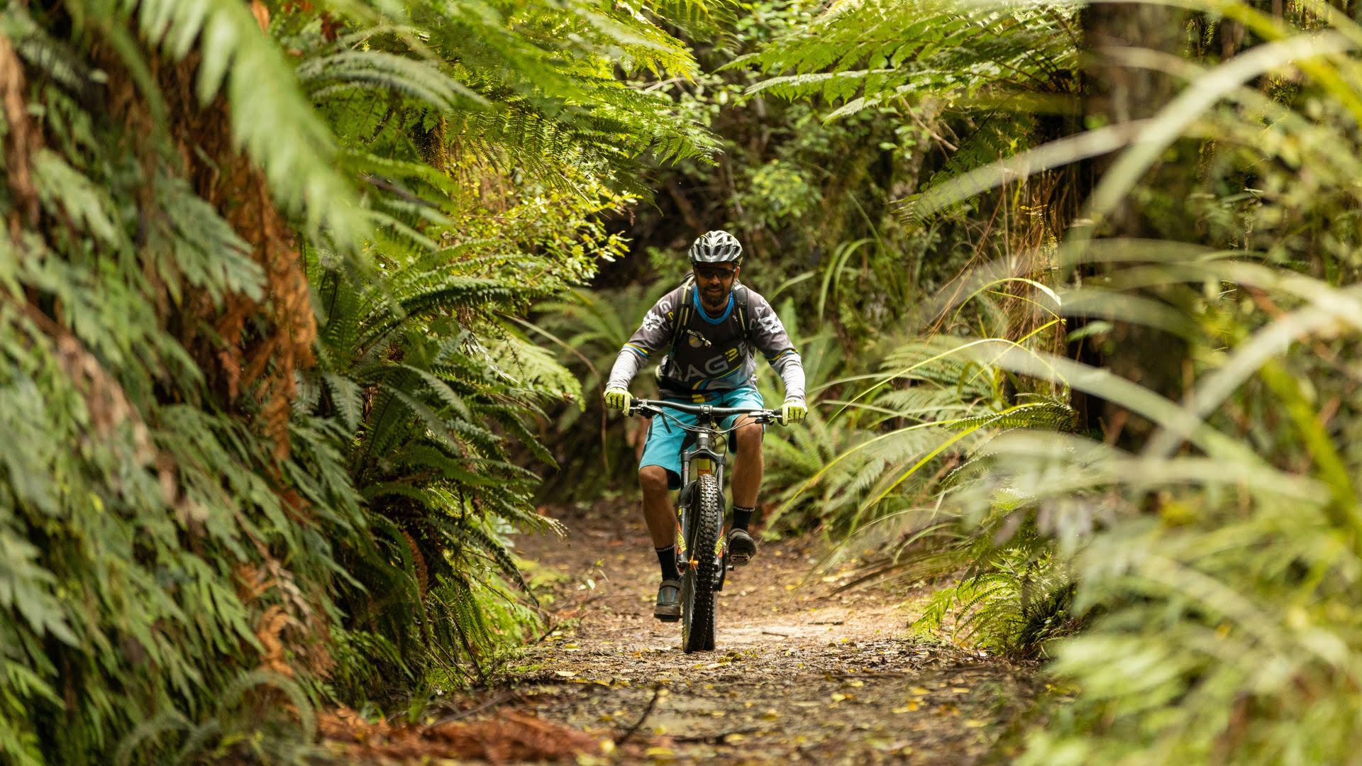 A Man Cycling Through The Forest On The Marton Sash & Door Tramway Trail - Visit Ruapehu.jpg