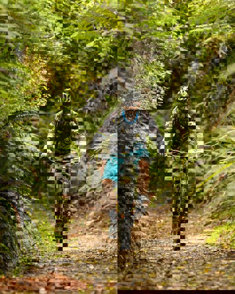 Pedal to the Metal: Unleashing Your Inner Cyclist