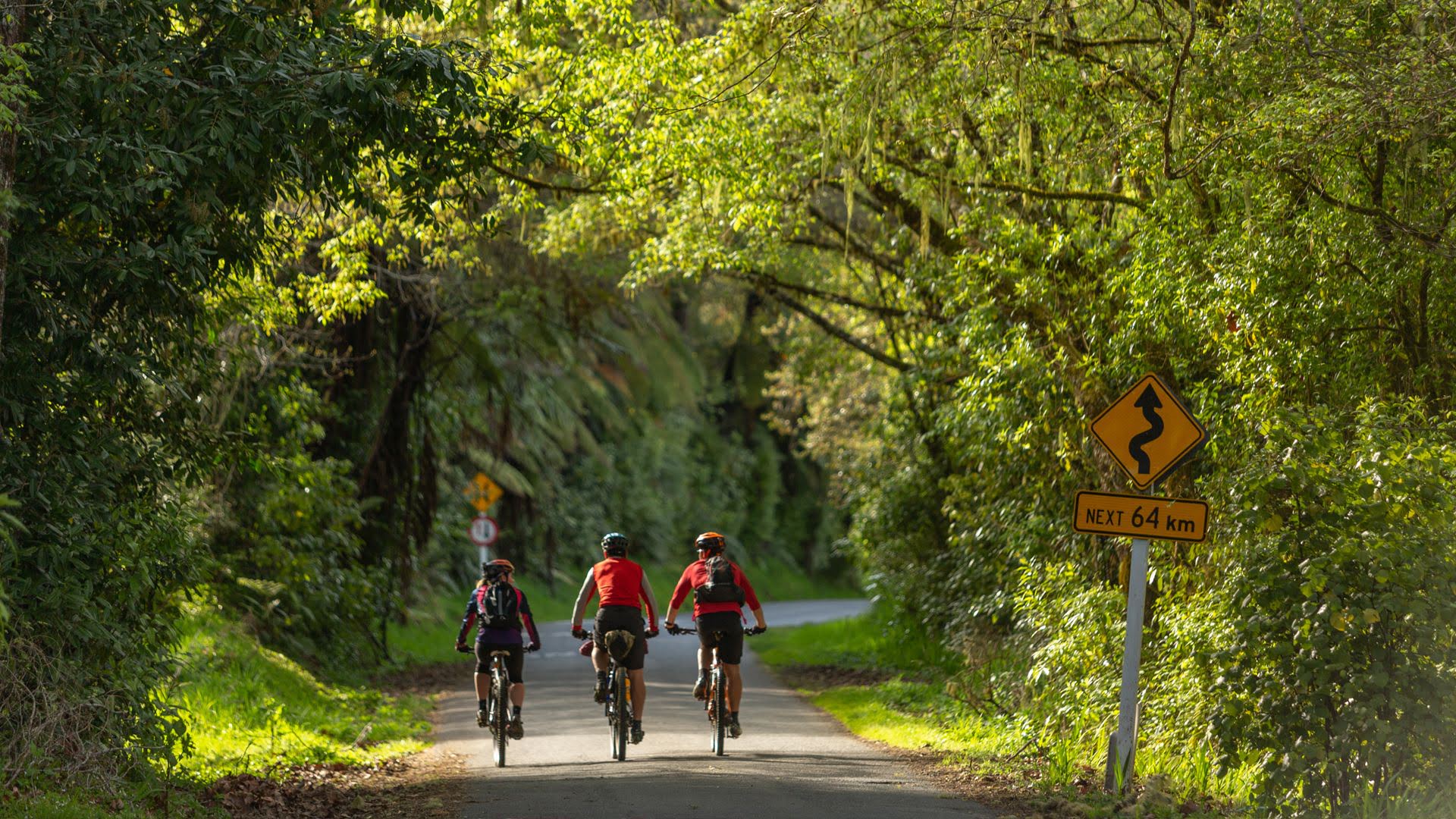 A group of riders heading down the Whanganui River Road, part of the Mountains to Sea Cycle Trail - Visit Ruapehu.jpg