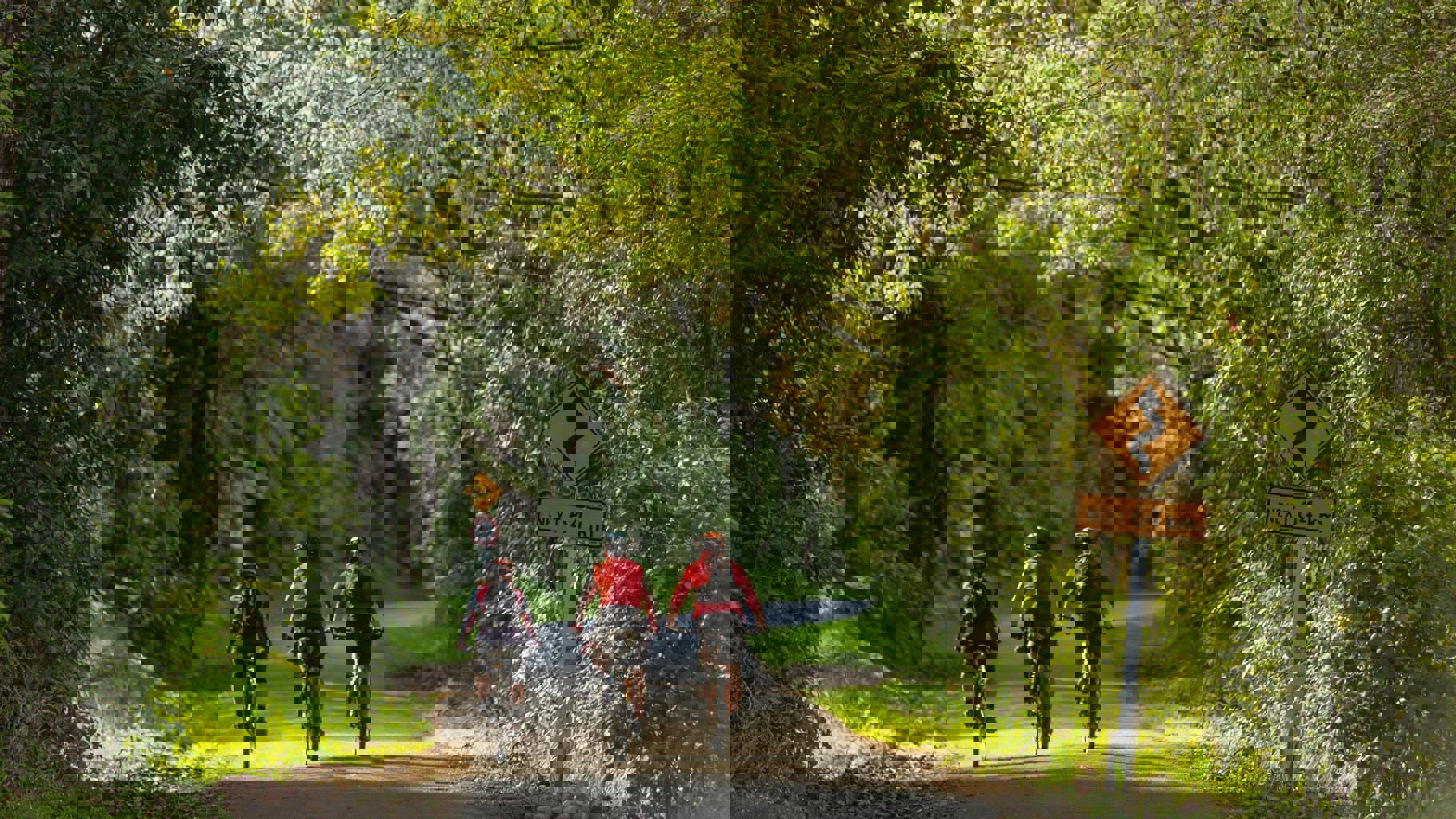 A group of riders heading down the Whanganui River Road, part of the Mountains to Sea Cycle Trail - Visit Ruapehu