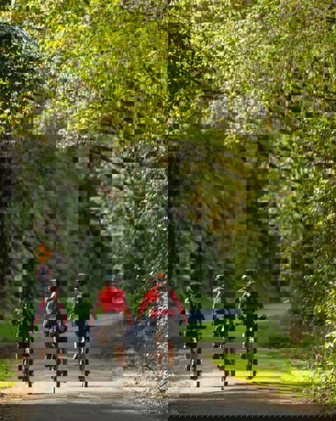 Pedal Pushing and Pit Stops: The Unexpected Joys of Long-Distance Cycling