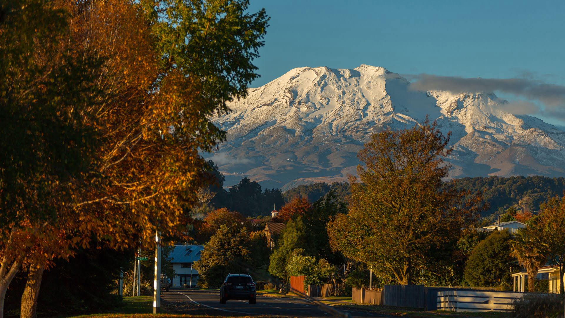 Autumn leaves snowcapped Mount Ruapehu view Ohakune - Visit Ruapehu.jpg