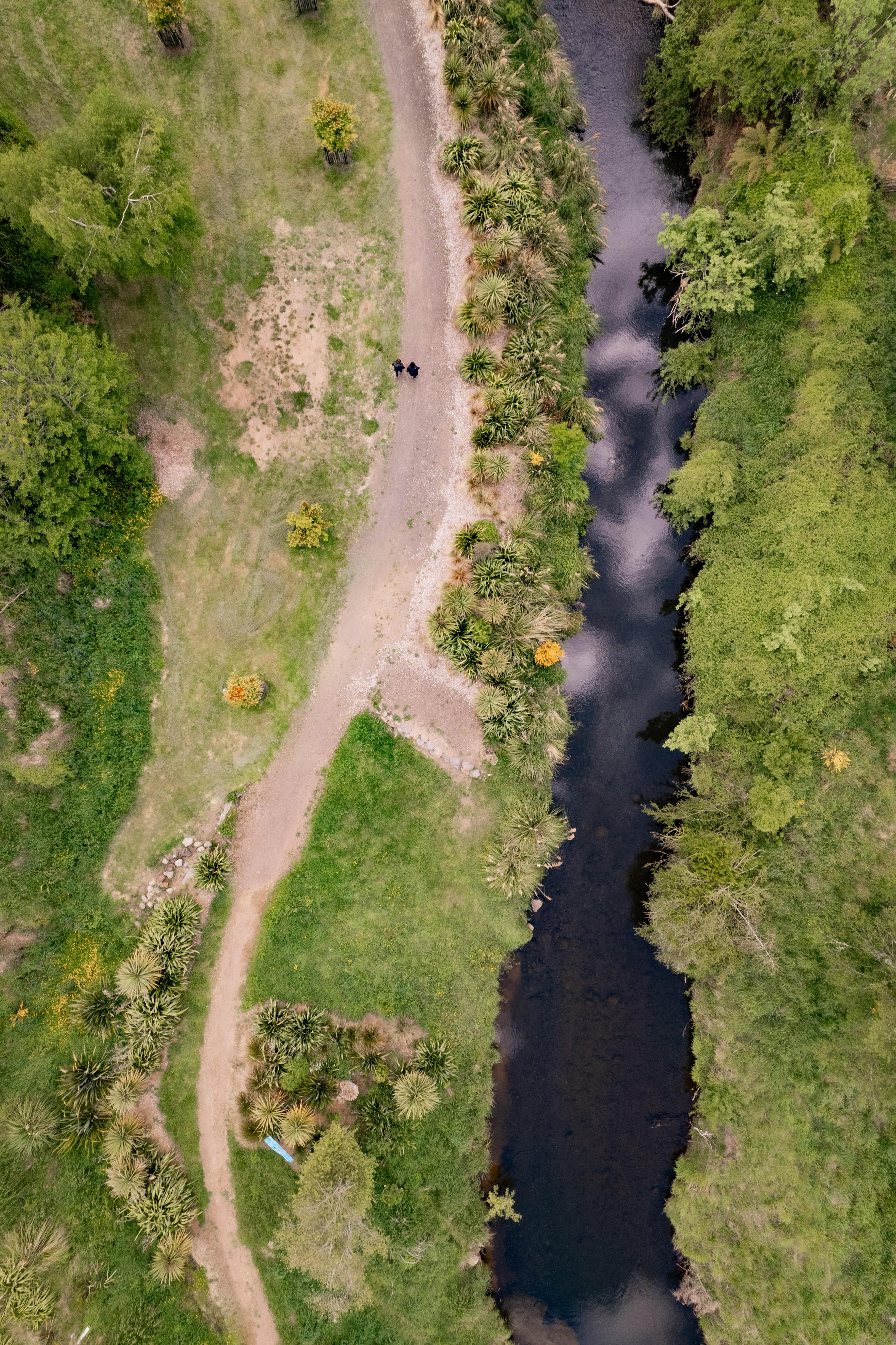 Birds eye view of the Mākōtūku River Walkway.jpg