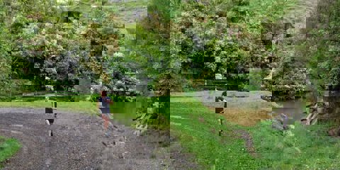 Blazing Hills Trail Run, Walk and Obstacle Course