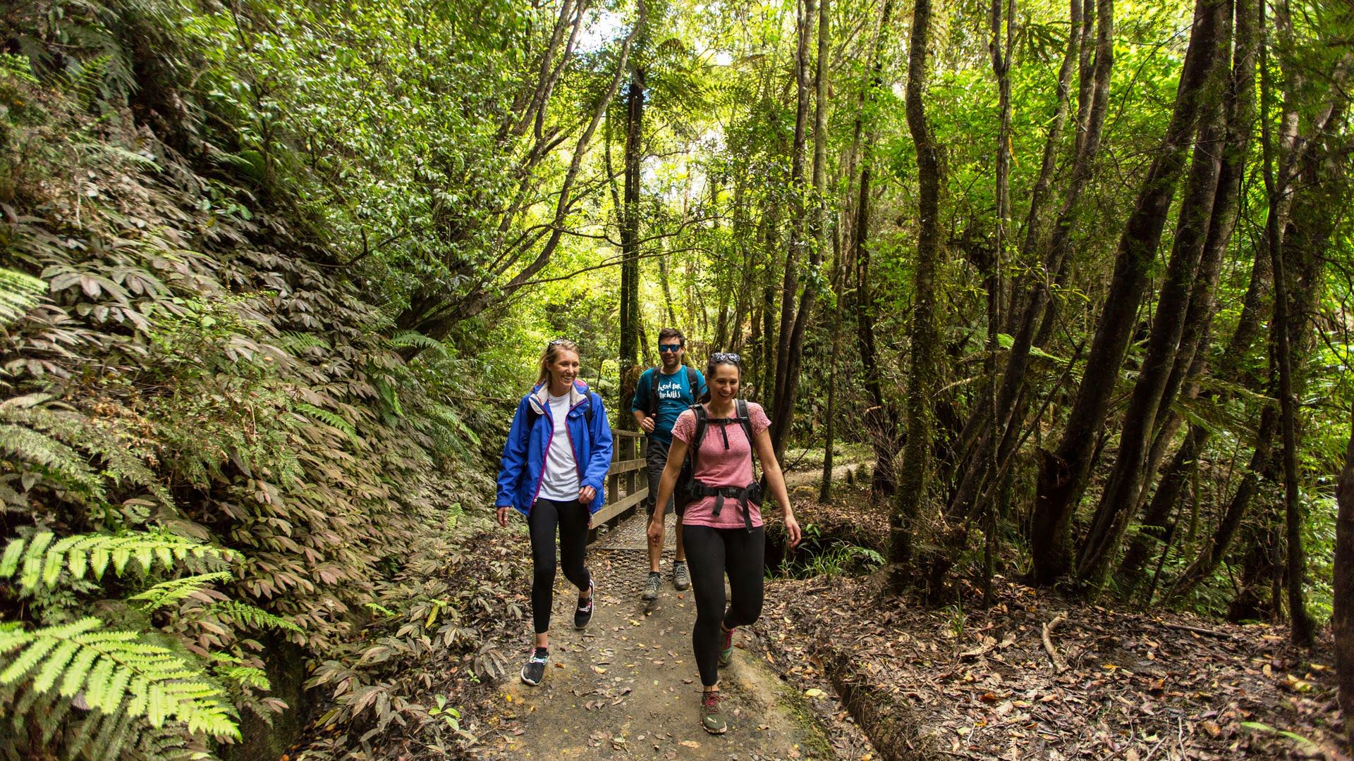 Short Walks Around Ohakune