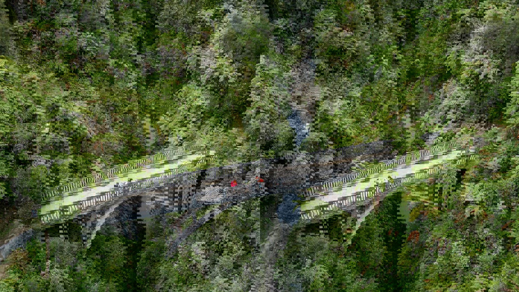 Bridge to Nowhere on the Whanganui River - Visit Ruapehu
