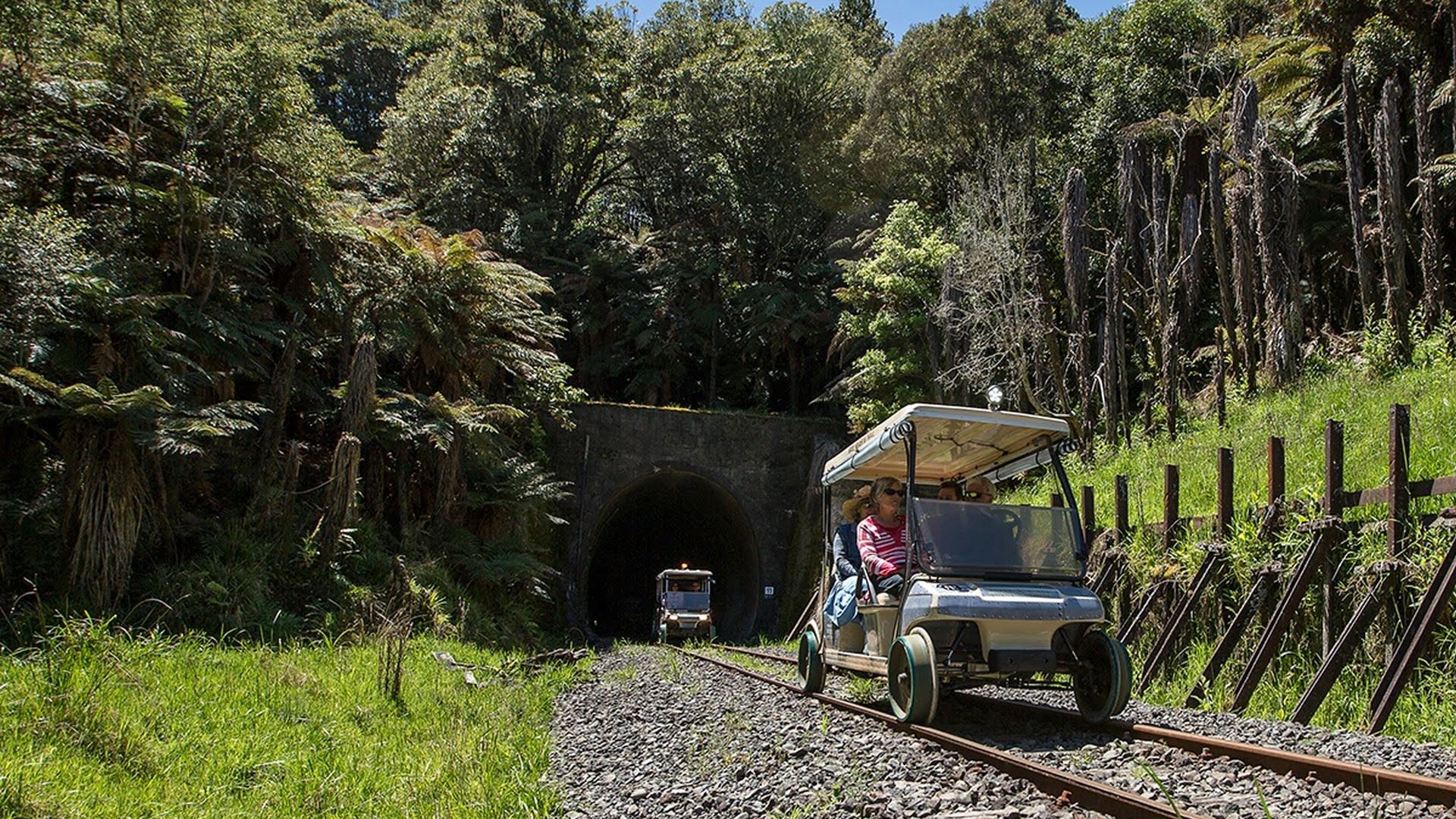 Cart coming out of tunnel on Forgotten World Adventures Rail Cart tour in Taumarunui - Visit Ruapehu.jpg