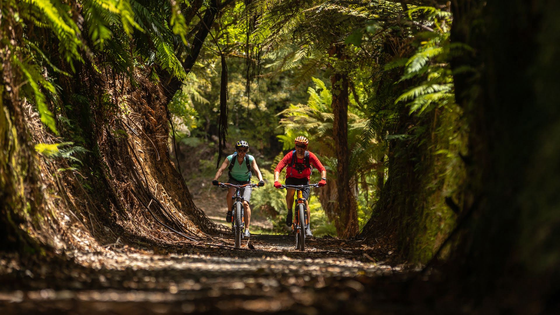 Couple cycling the Timber Trail - Visit Ruapehu.jpg