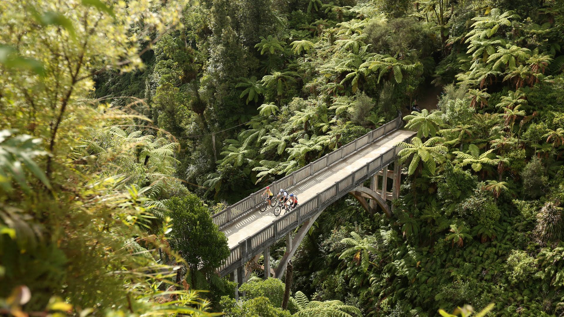 Family Cycling Over The Bridge To Nowhere