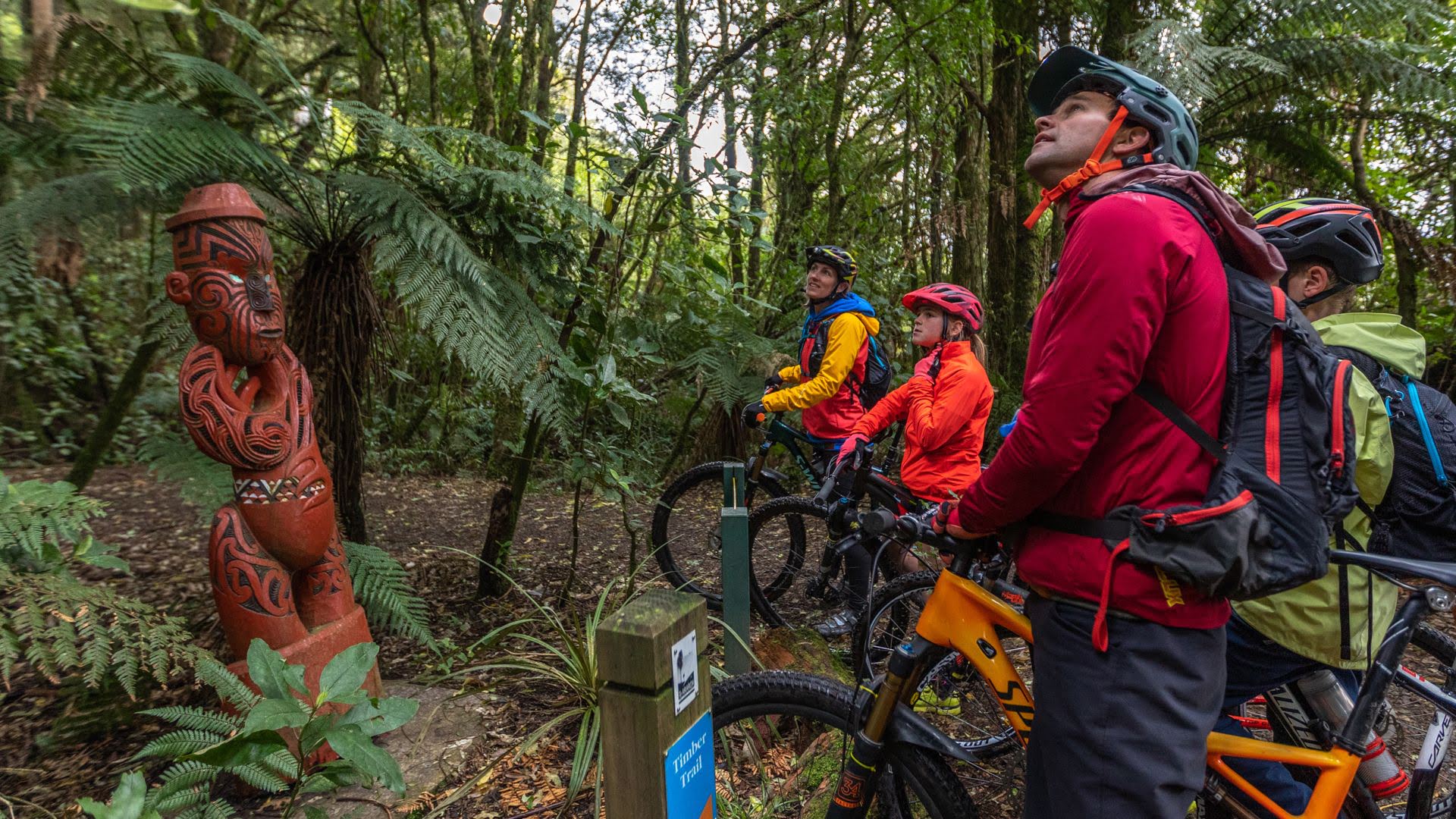 Family cycling at the start of the Timber Trail - Visit Ruapehu.jpg