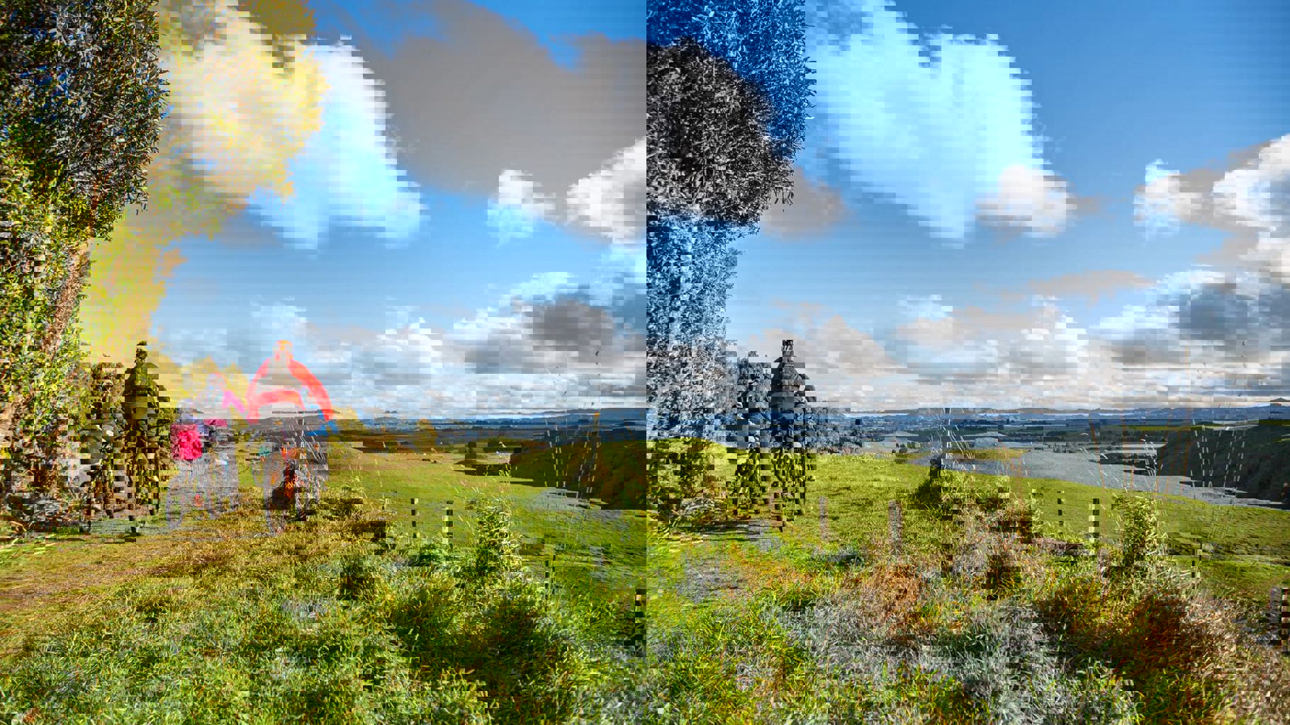 Family cycling down Ohakune Old Coach Road farmland - Visit Ruapehu