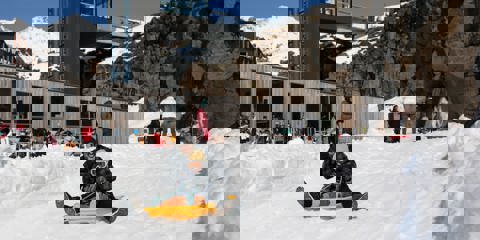 Sledding and Snow play