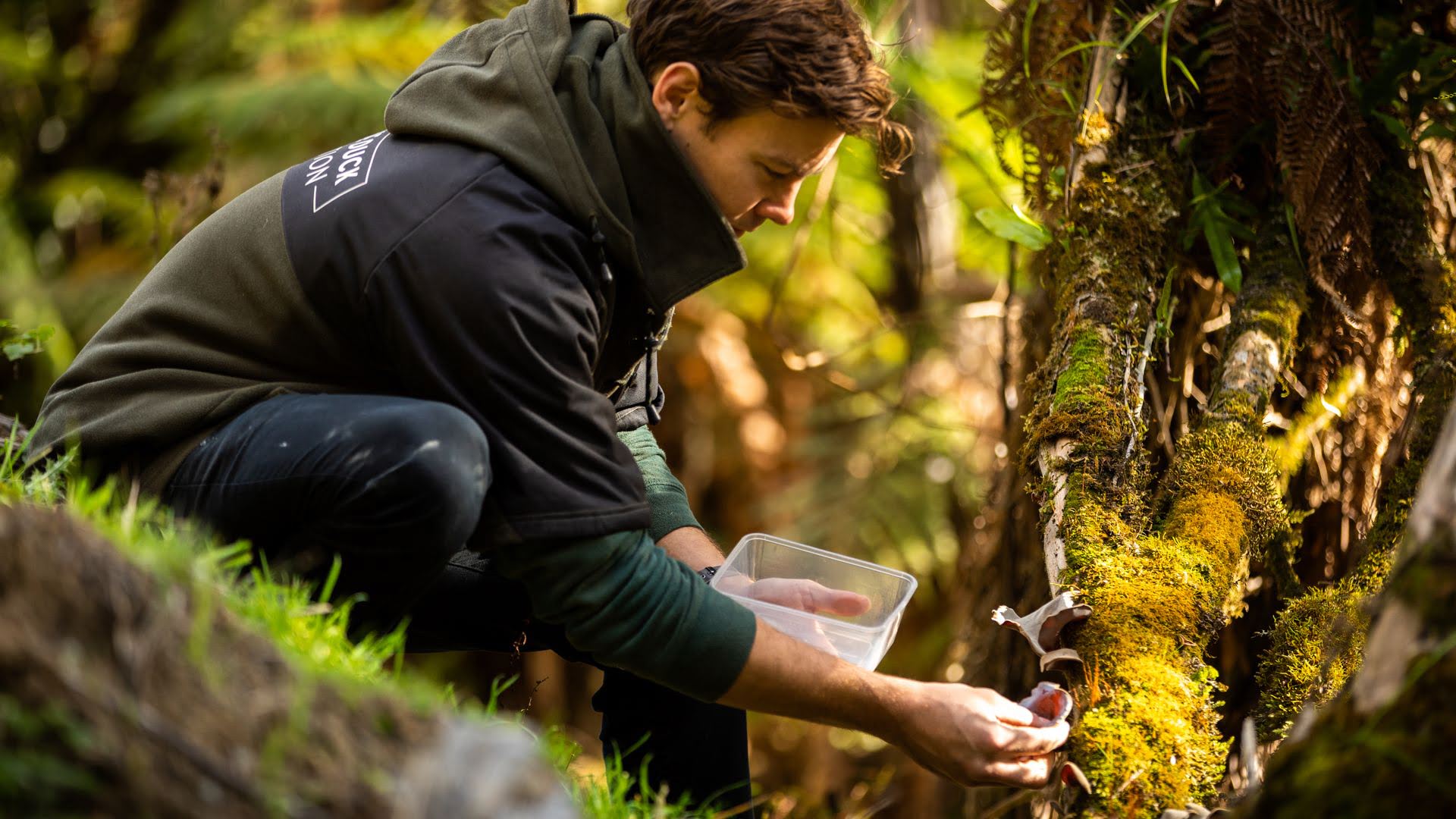 Foraging For Food The Chefs Table - Visit Ruapehu.jpg