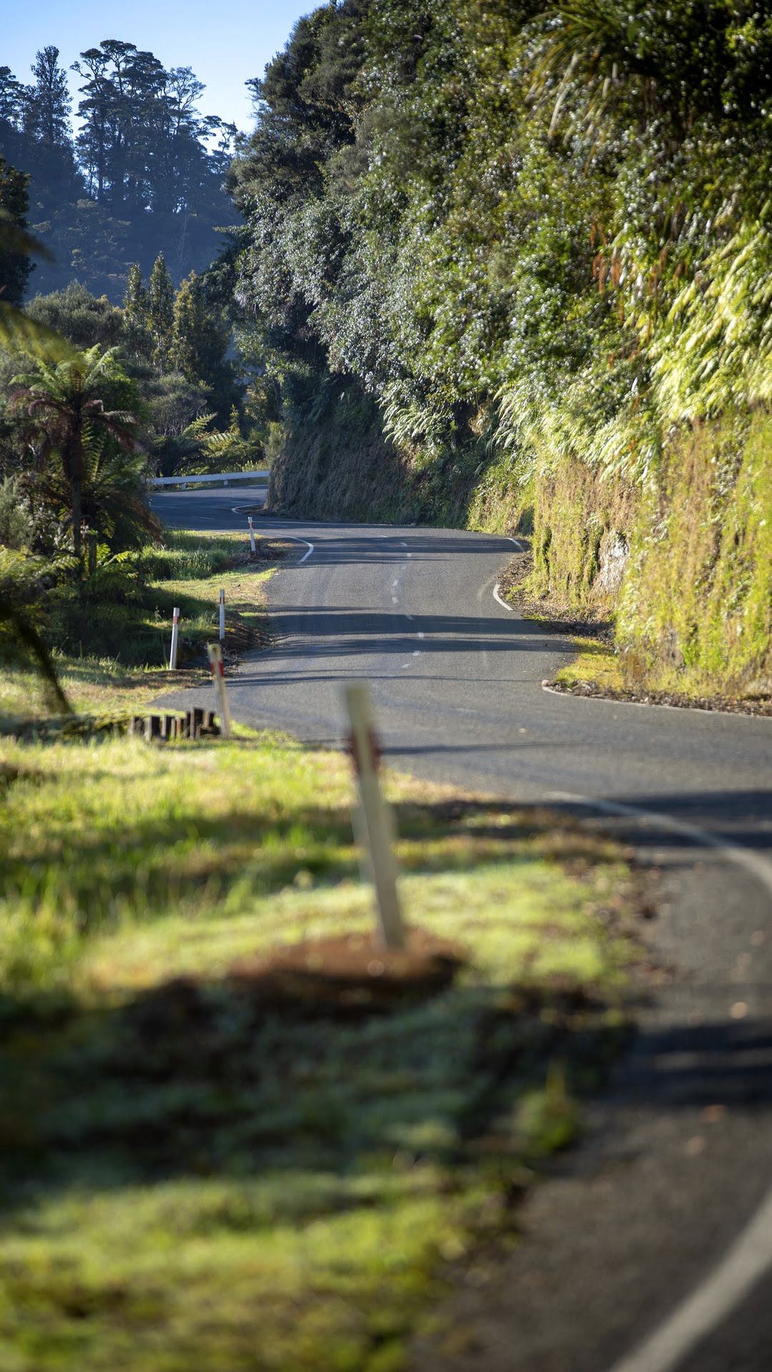 The Forgotten World Highway