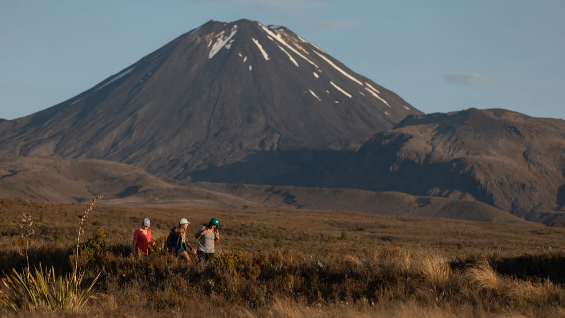 Read more of our Blogs