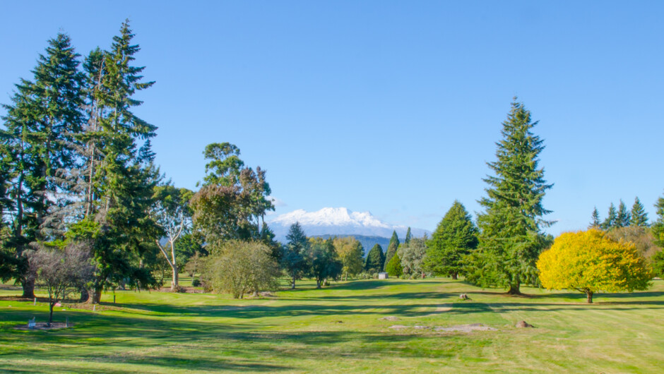 Golf at the Waimarino Golf Course - Visit Ruapehu.jpg