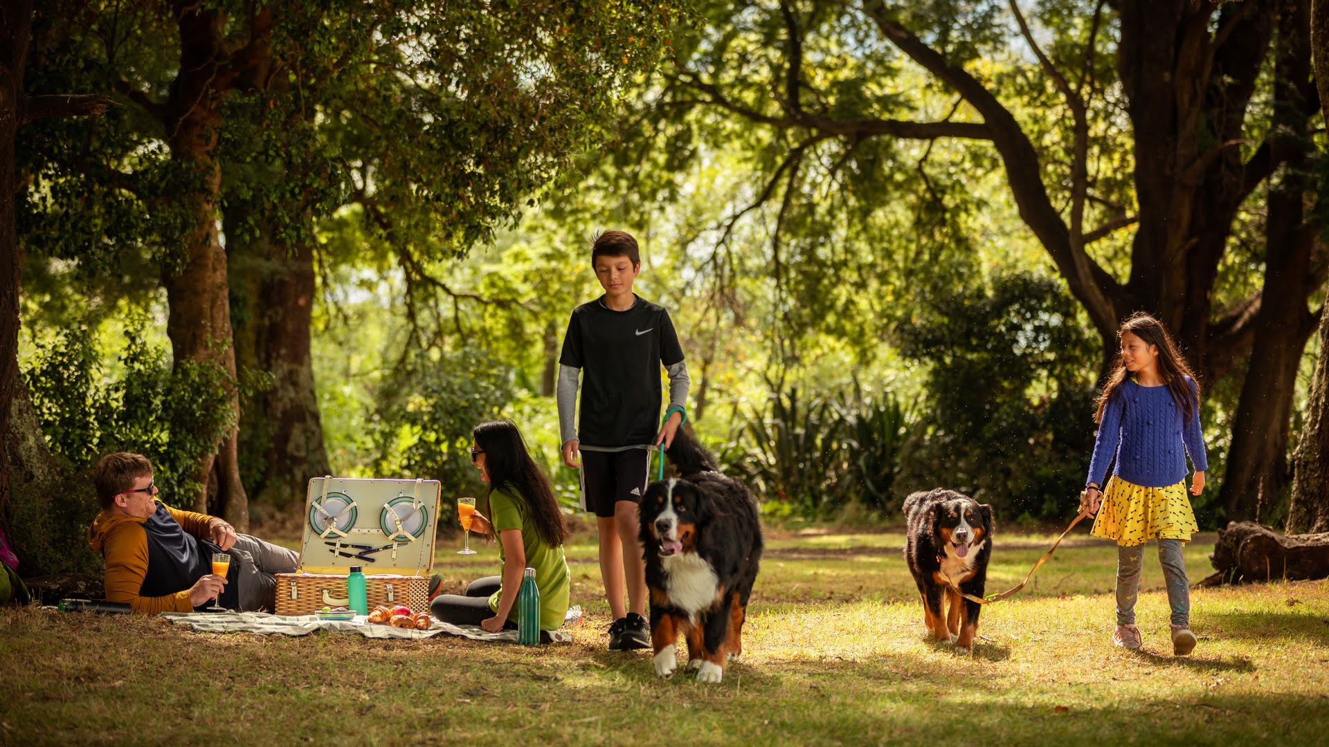 Read More of Our Blogs!