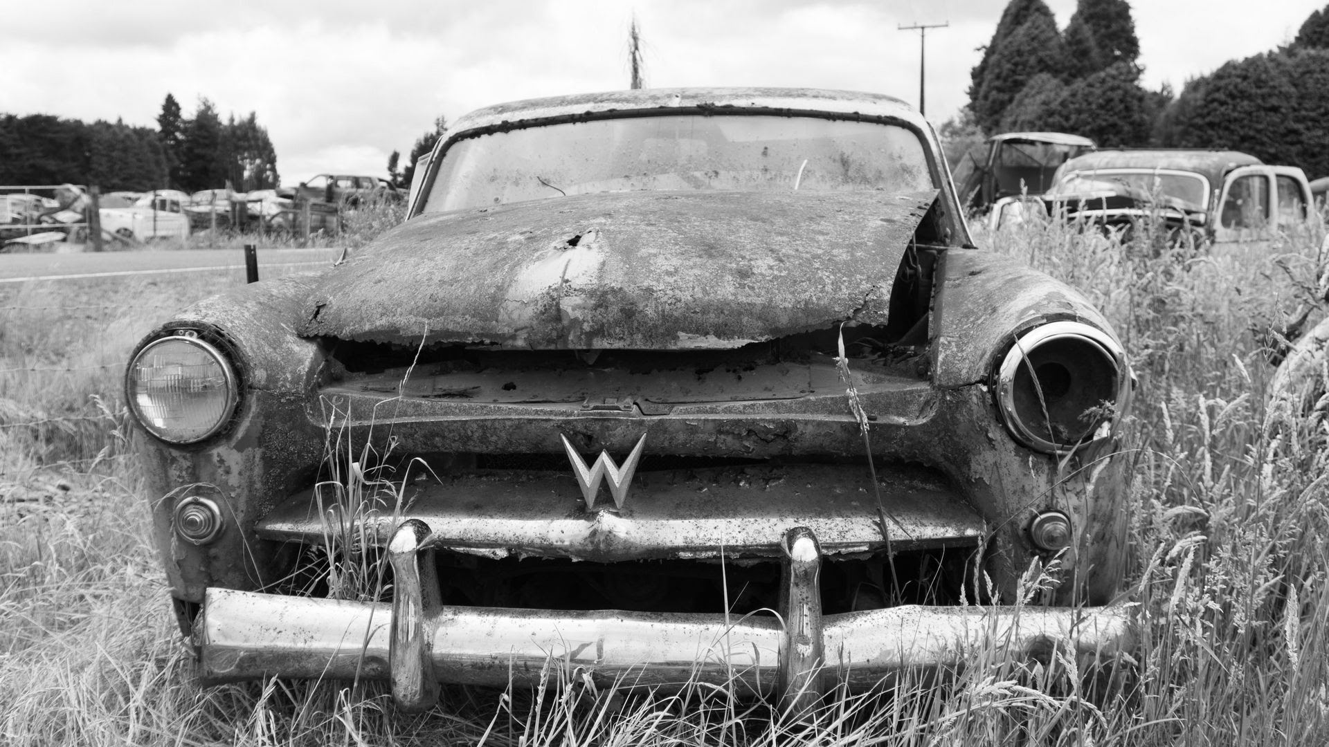 Horopito Motors - Visit Ruapehu.jpg