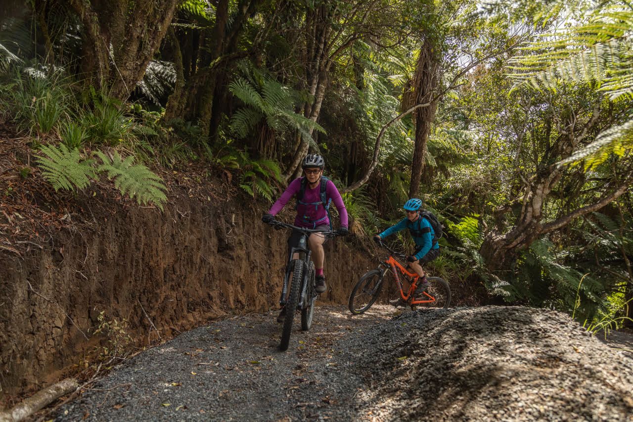 Mountain Biking The Marton Sash and Door Trail.jpg