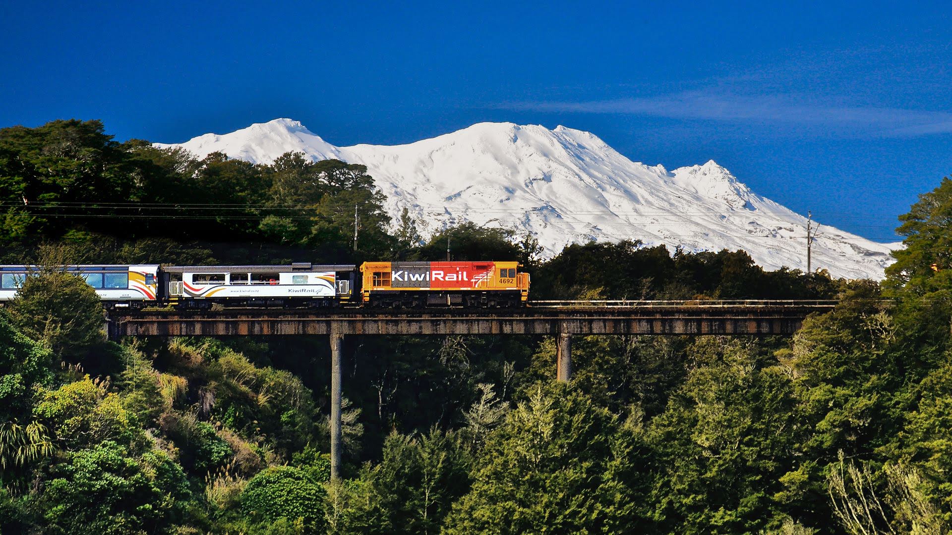 Northern-Explorer-viaduct - Visit Ruapehu.jpg