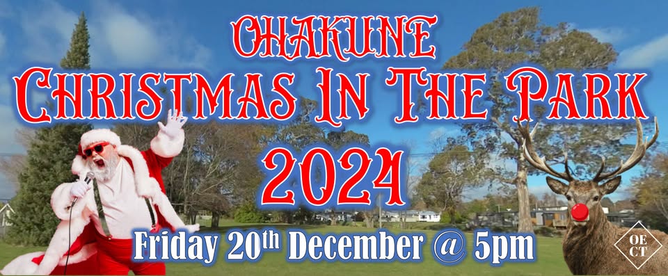 Ohakune Christmas in the Park 2024 - Visit Ruapehu