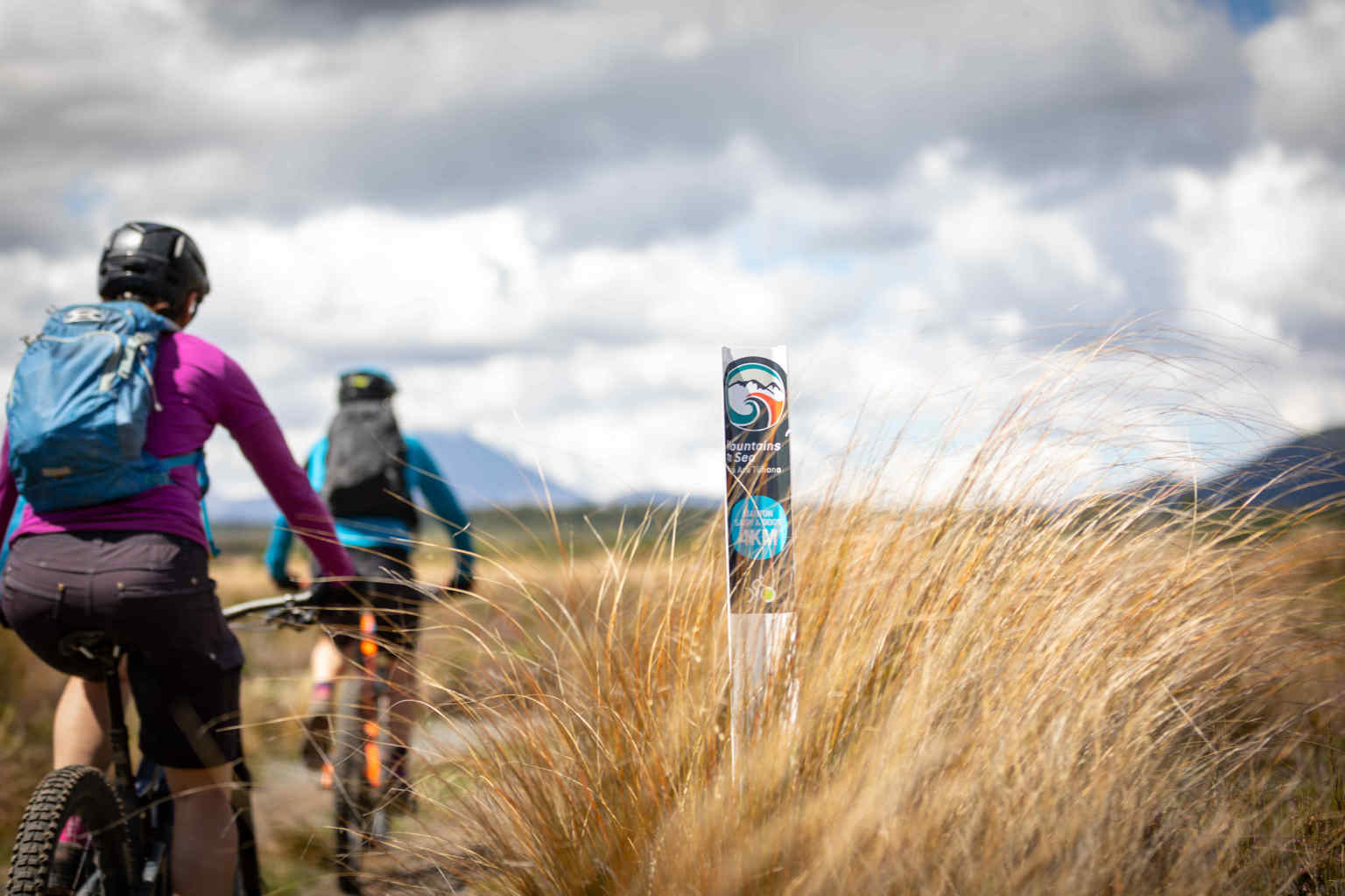 People Biking on the Marton Sash and Door Tramway - Visit Ruapehu