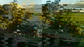 People on Carts at Forgotten World Adventures - Visit Ruapehu.jpg