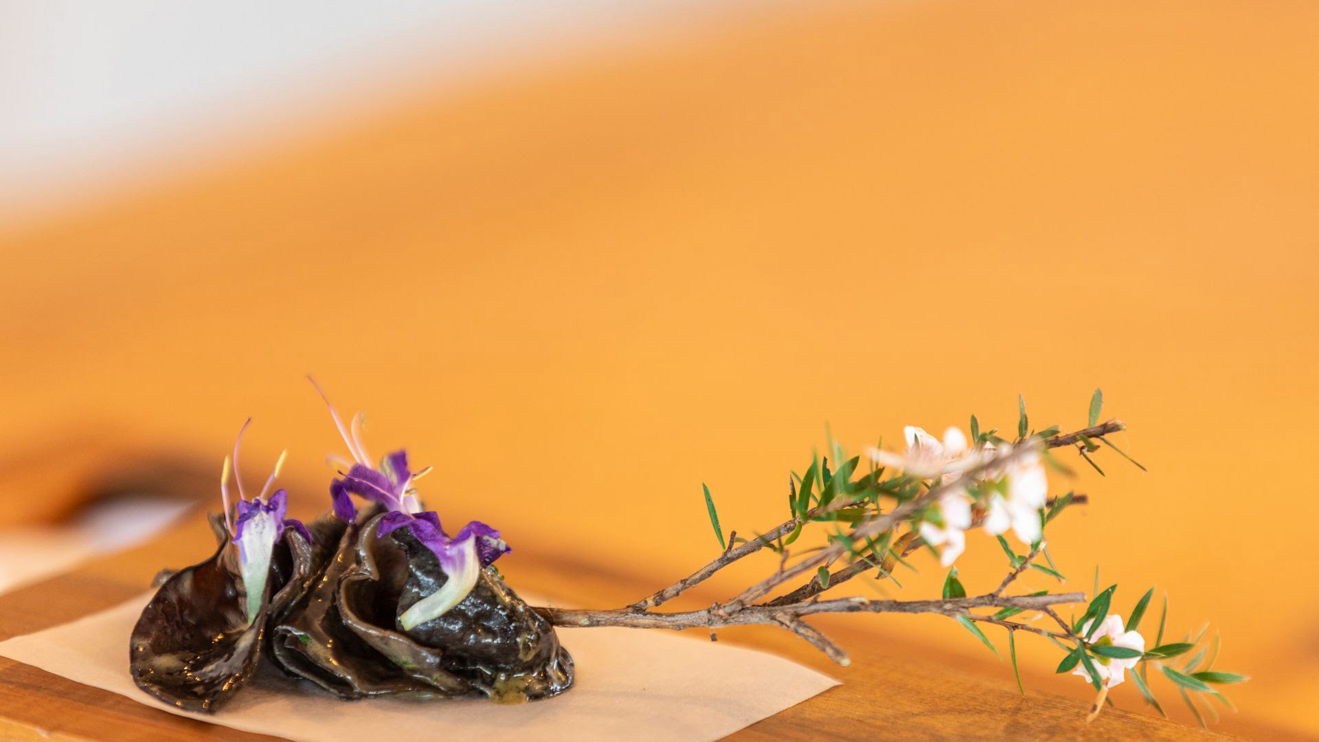 Plating Up  The Chefs Table - Visit Ruapehu.jpg