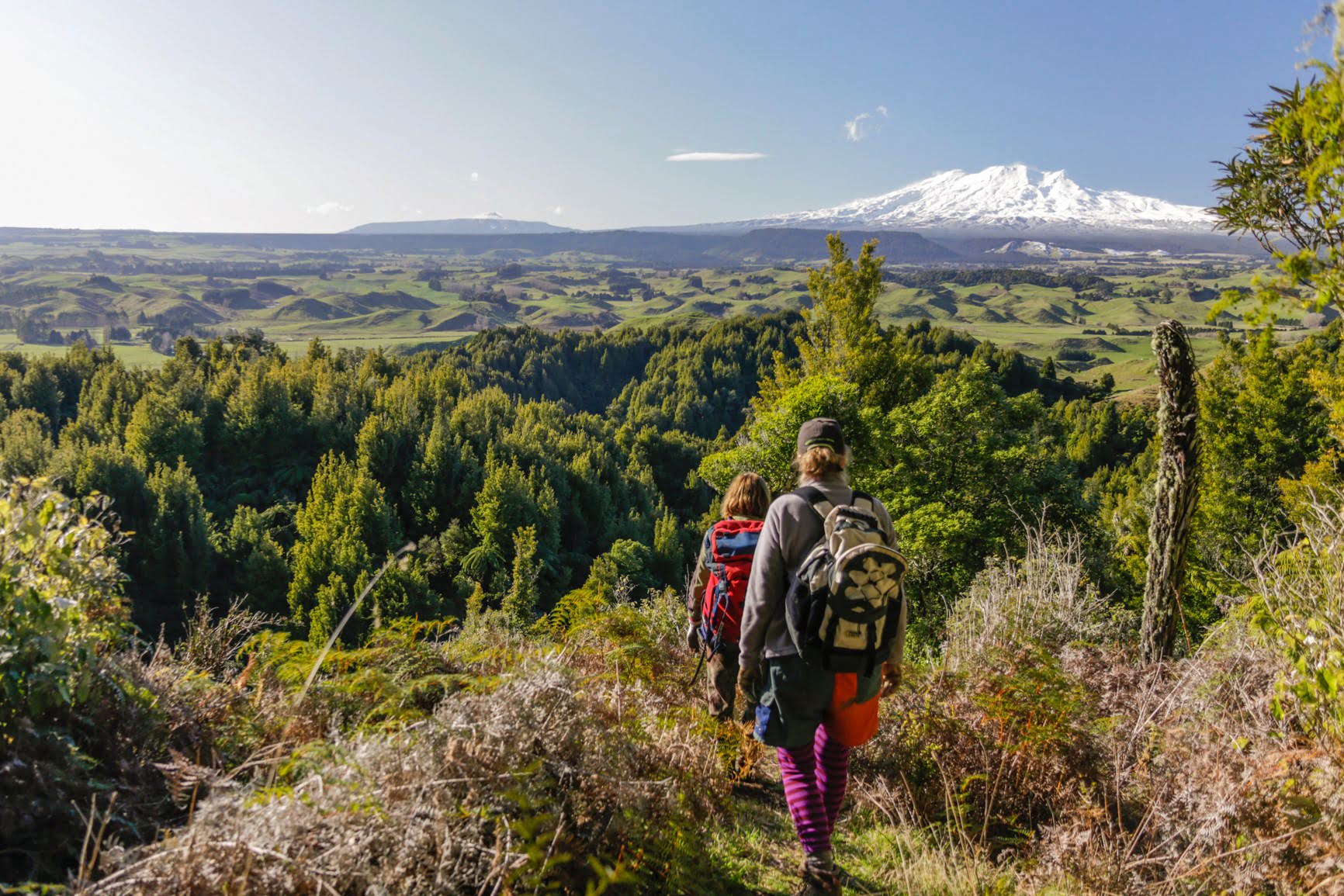 Puketawa Trak - Visit Ruapehu.jpg