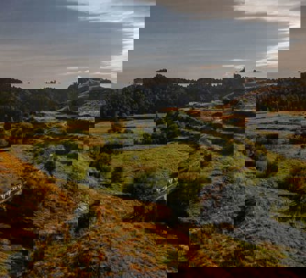 Rail Cart in the Forgotten World - Visit Ruapehu.jpg