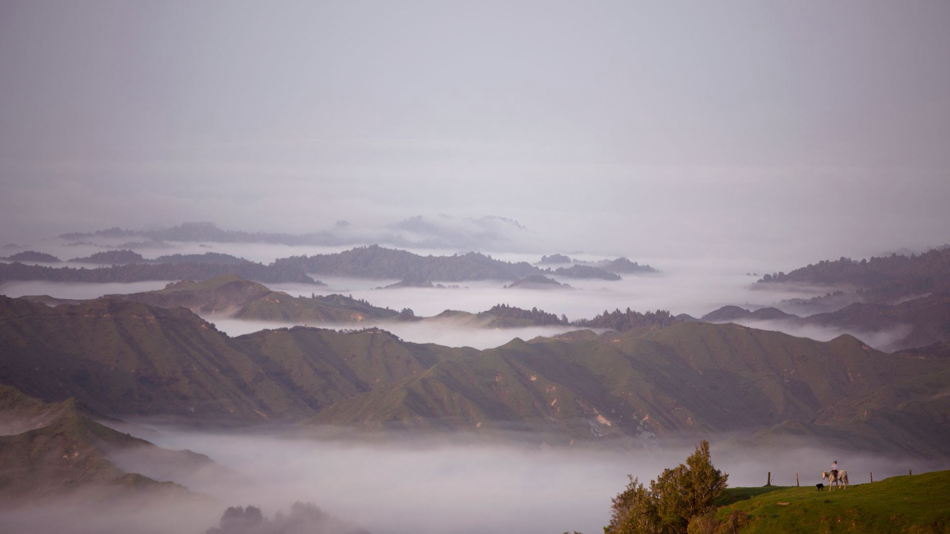 Ruatiti From The Air - Visit Ruapehu