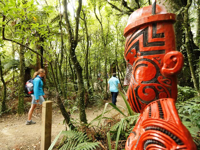 Start of the Timber Trail - Visit Ruapehu.jpg