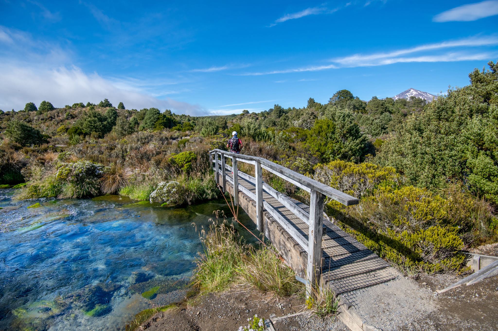 Tussock Traverse - Visit Ruapehu (2)