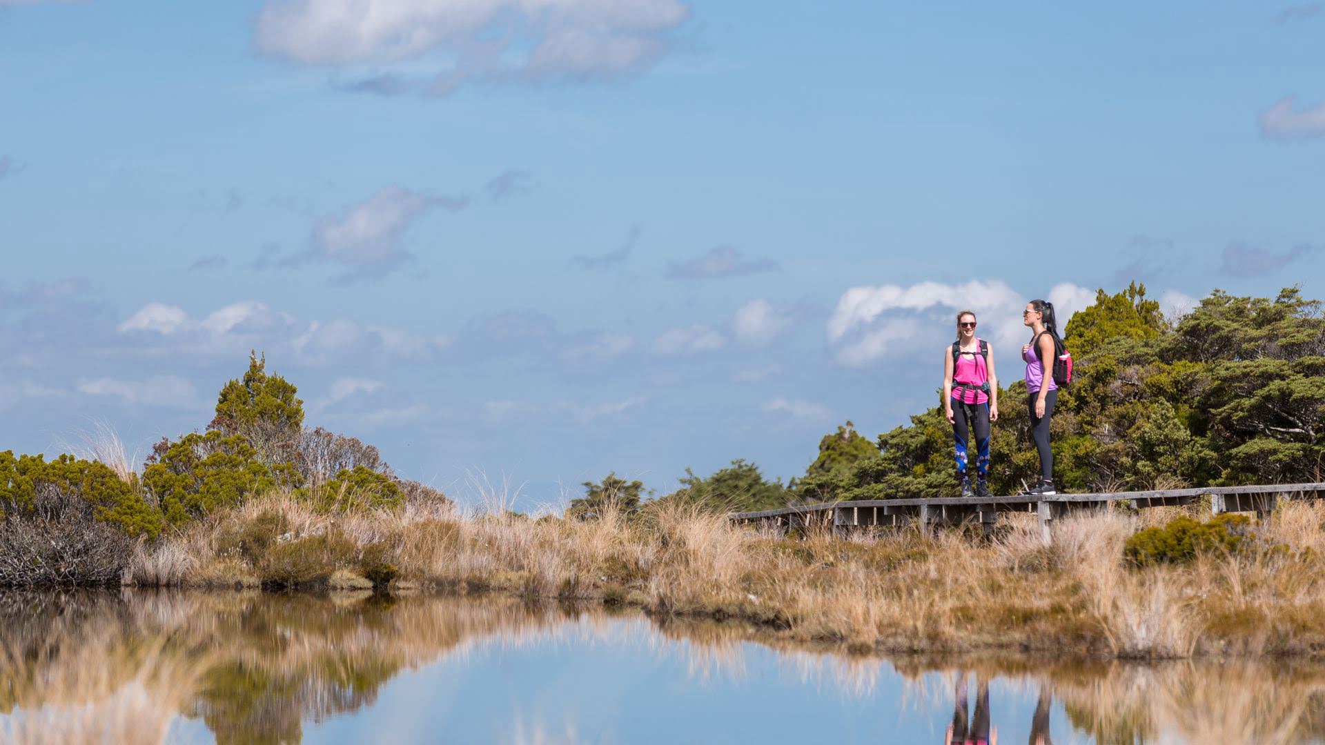 Two girls on the Waitonga Falls walk boardwalk in summer - Visit Ruapehu.jpg