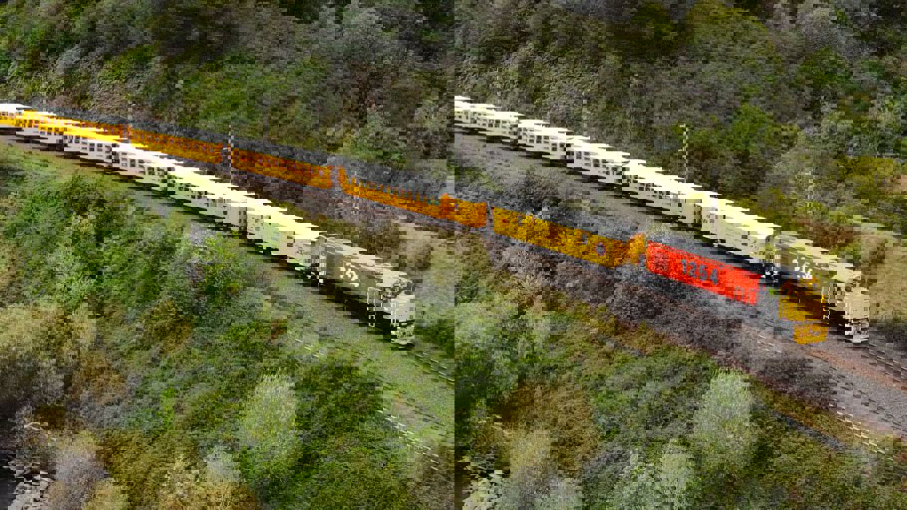 Vintage Train - Glenbrook Ruapehu Rail Tours