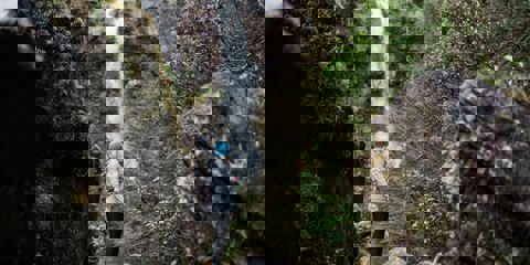 Image Gallery