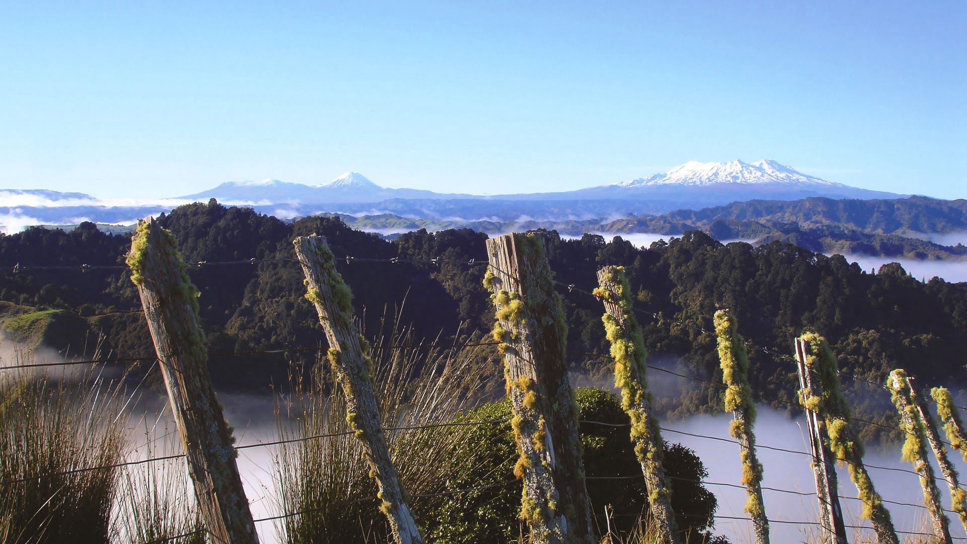 colour ehnchanced whakahoro.jpg