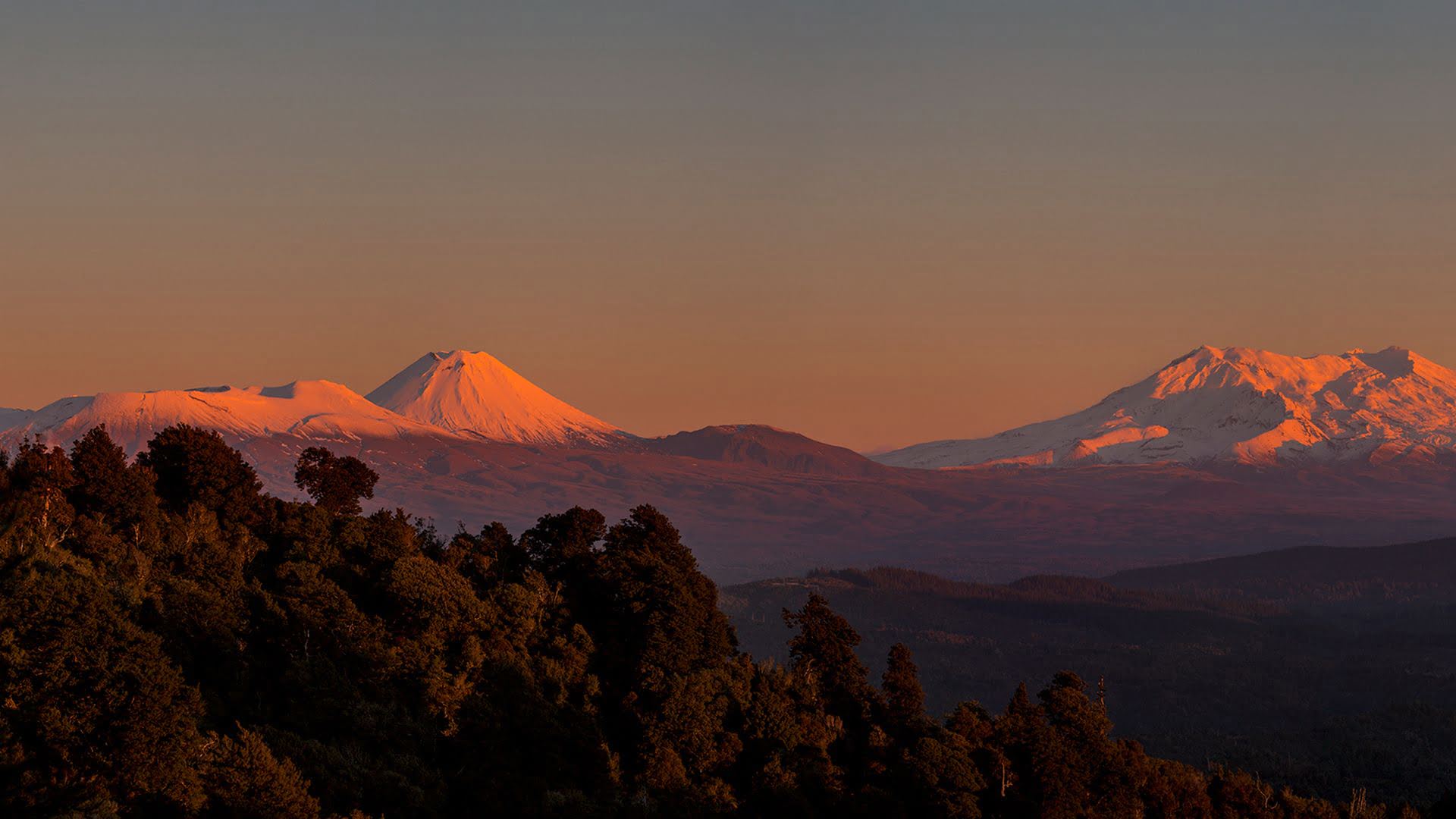 martyn davies panorama July 2017.jpg